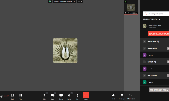 Melp call interface with breakout rooms for private team collaboration.
